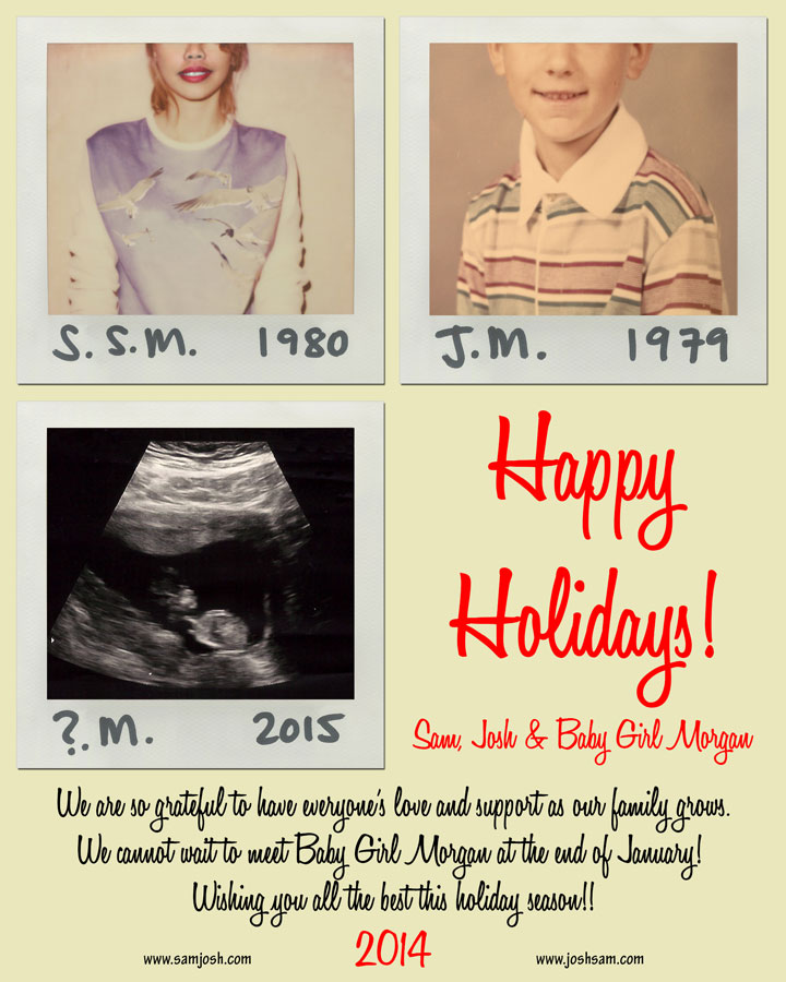 Josh & Sam - 2014 Holiday Card - Taylor Swift 1989 Parody